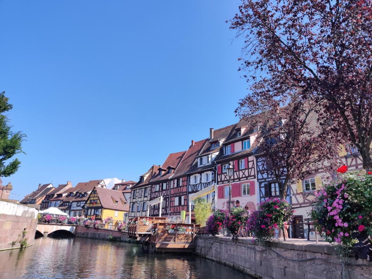 Au Bretzel Doré - Centre Historique Colmar Exterior foto